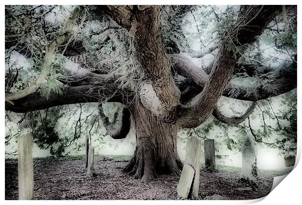 Graveyard Tree Print by Karen Martin