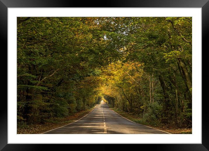 Autumn Roadway Framed Mounted Print by Dave Hudspeth Landscape Photography