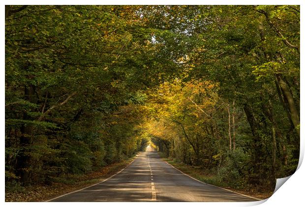 Autumn Roadway Print by Dave Hudspeth Landscape Photography