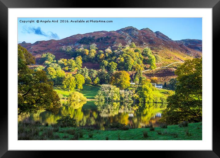 Loughrigg Tarn. Framed Mounted Print by Angela Aird