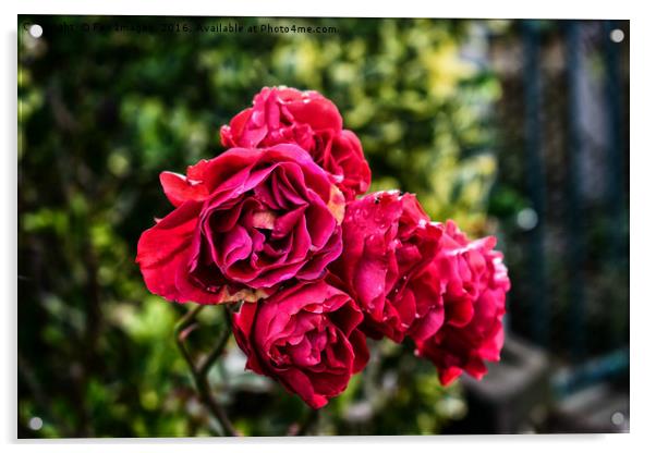 Roses in autumn Acrylic by Derrick Fox Lomax