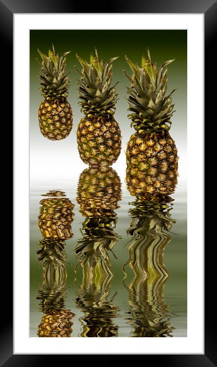 Fresh ripe pineapple fruits Framed Mounted Print by David French