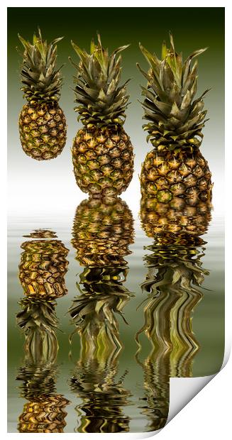 Fresh ripe pineapple fruits Print by David French