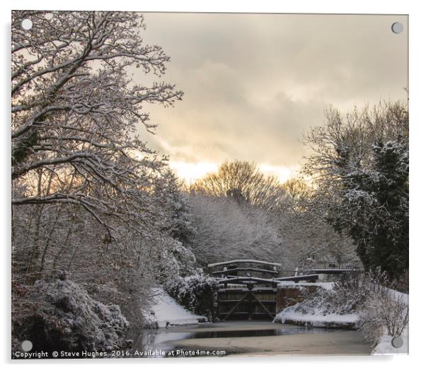 Winter on the Basingstoke Canal Acrylic by Steve Hughes