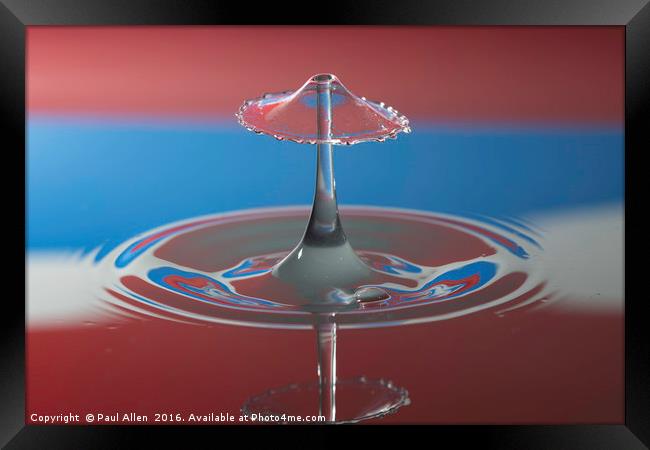 water drop collision in red white and blue Framed Print by Paul Allen