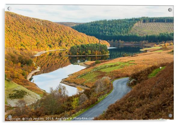 Looking Down the Elan Valley Powys in Autumn Acrylic by Nick Jenkins