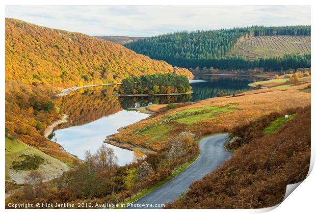 Looking Down the Elan Valley Powys in Autumn Print by Nick Jenkins