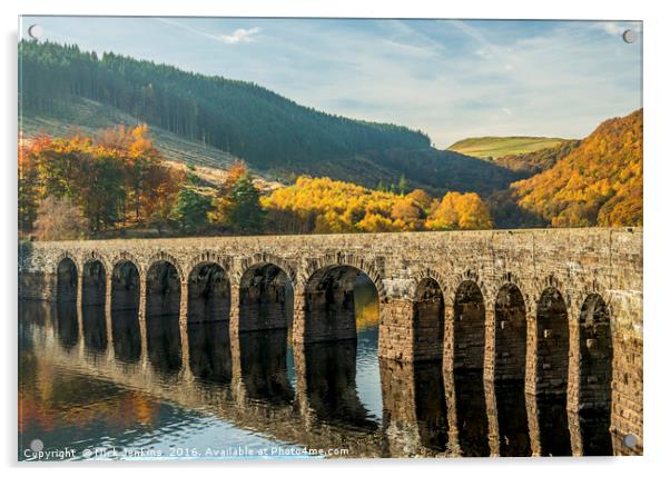 Garreg Ddu Dam Elan Valley Radnorshire Powys Acrylic by Nick Jenkins