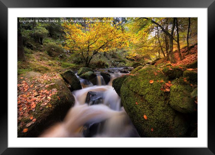 Serene Autumn Brook Framed Mounted Print by K7 Photography