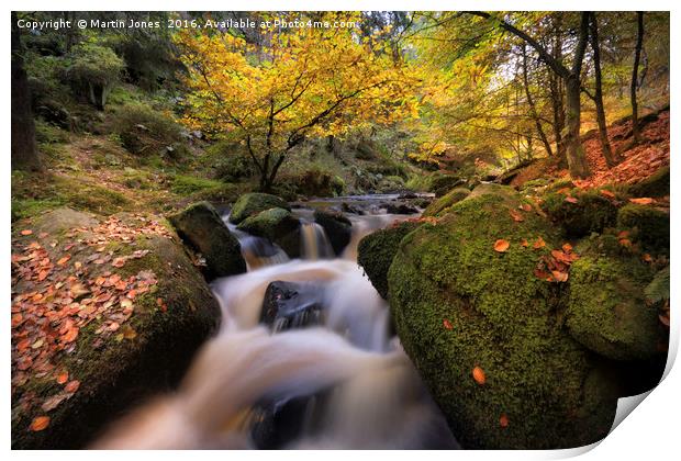 Serene Autumn Brook Print by K7 Photography