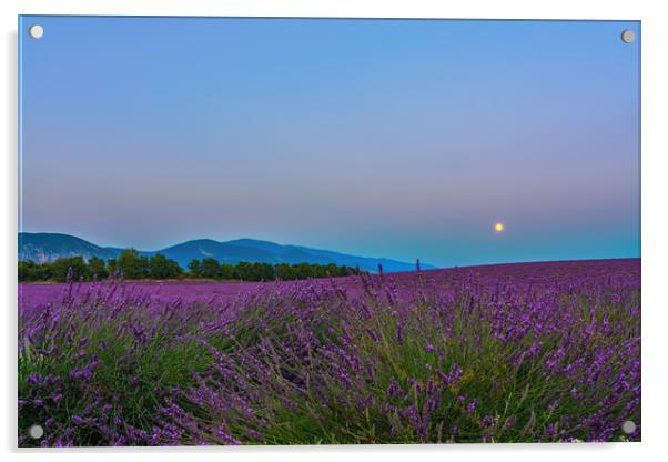 Lavender Moon II Acrylic by Marcel de Groot