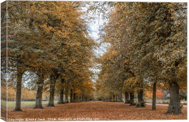 Marbury Park Cheshire Canvas Print by Mike Janik