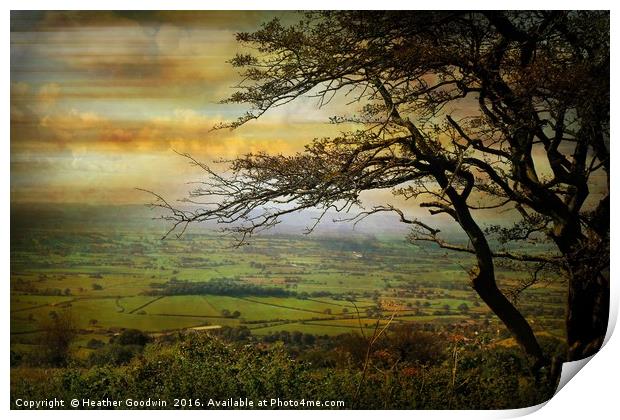 The Somerset Vale. Print by Heather Goodwin