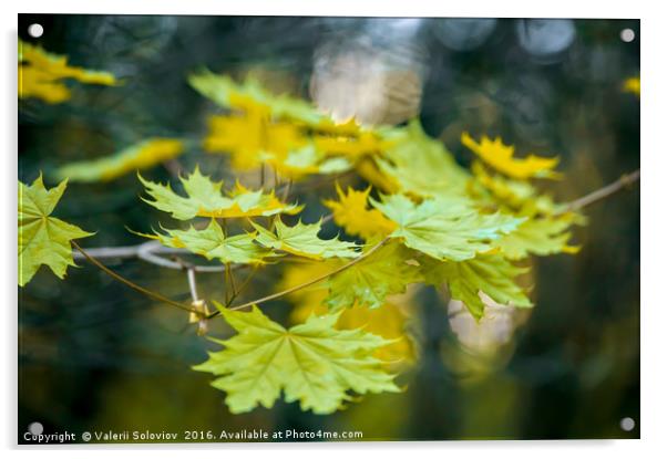 Autumn leaf. Acrylic by Valerii Soloviov