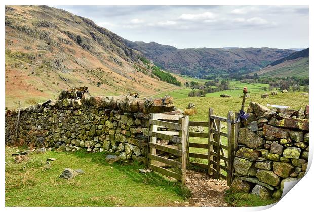 Great Langdale valley Print by Jason Connolly
