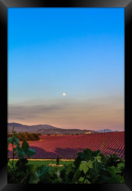 Lavender Moon I Framed Print by Marcel de Groot