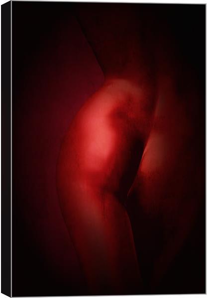 Lady in red night  Canvas Print by Dagmar Giers