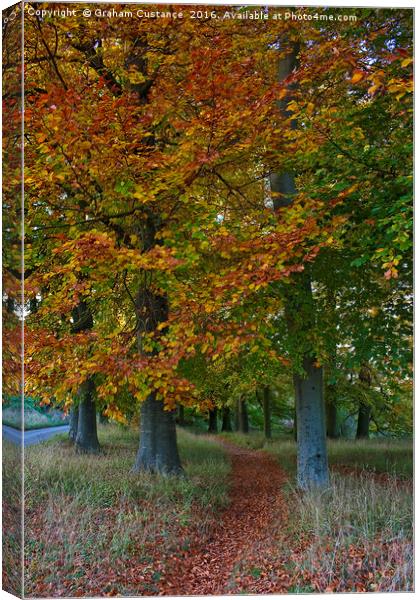 Autumn Path Canvas Print by Graham Custance