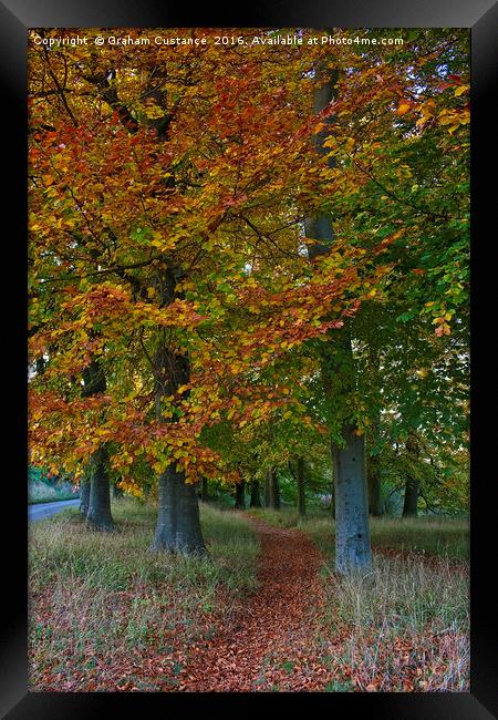 Autumn Path Framed Print by Graham Custance