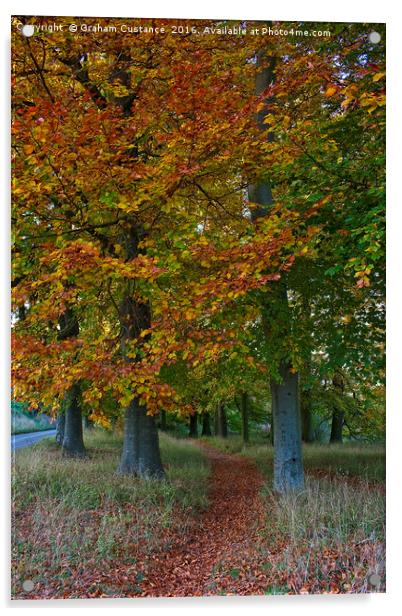 Autumn Path Acrylic by Graham Custance