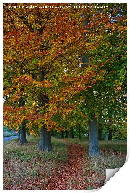 Autumn Path Print by Graham Custance