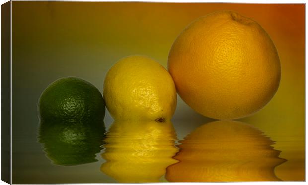 Grapefruit Lemon and Lime Citrus Fruit Canvas Print by David French