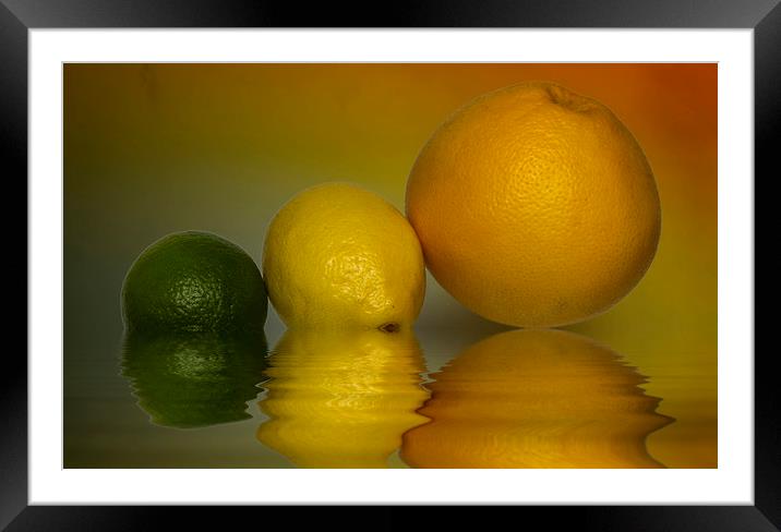 Grapefruit Lemon and Lime Citrus Fruit Framed Mounted Print by David French