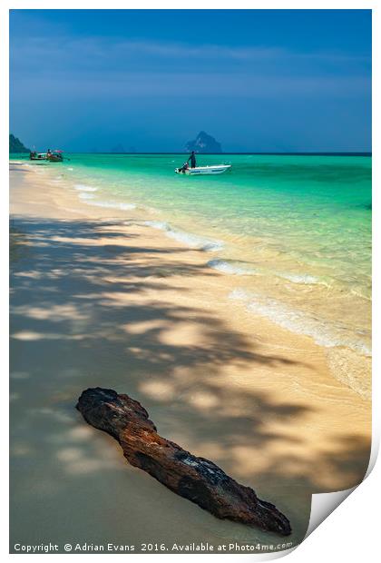 Driftwood On The Thai Beach Print by Adrian Evans