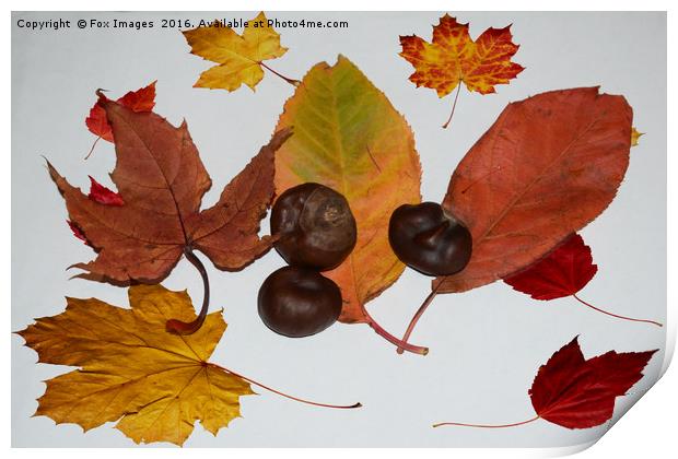 Autumn leaves Print by Derrick Fox Lomax