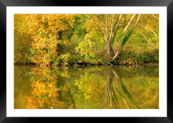 Autumn Reflections Framed Mounted Print by Darren Burroughs