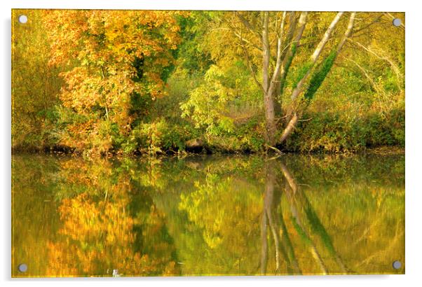 Autumn Reflections Acrylic by Darren Burroughs