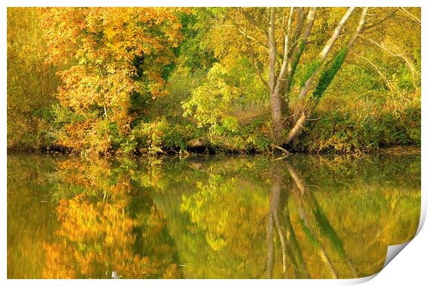 Autumn Reflections Print by Darren Burroughs