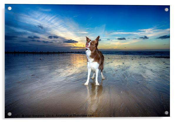 On the Beach at Sunset Acrylic by Alan Simpson