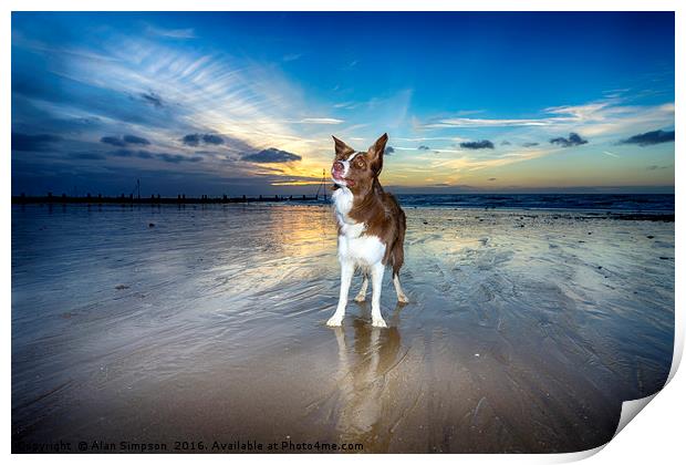 On the Beach at Sunset Print by Alan Simpson