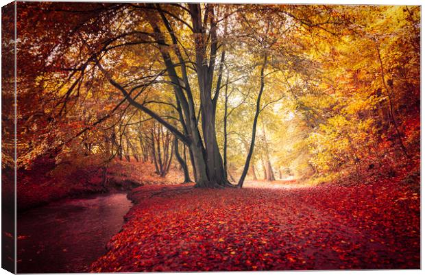 Autumn, Louth Canvas Print by Andrew Scott