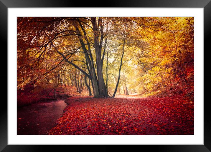 Autumn, Louth Framed Mounted Print by Andrew Scott