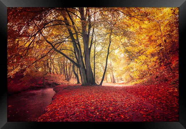 Autumn, Louth Framed Print by Andrew Scott
