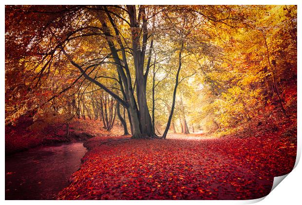 Autumn, Louth Print by Andrew Scott