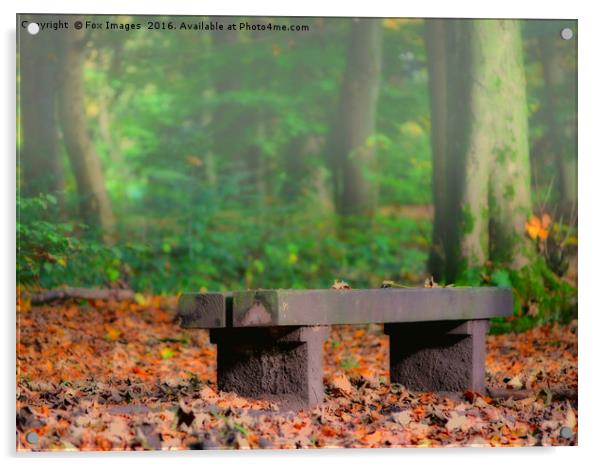 Autumn woodland Acrylic by Derrick Fox Lomax