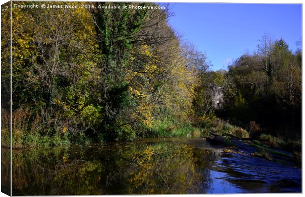 Water of Leith at Belford Canvas Print by James Wood