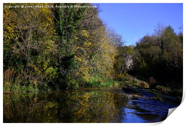 Water of Leith at Belford Print by James Wood