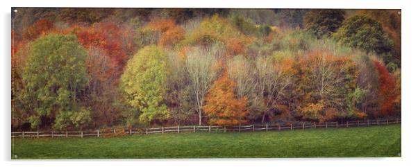 Autumn trees Acrylic by Leighton Collins