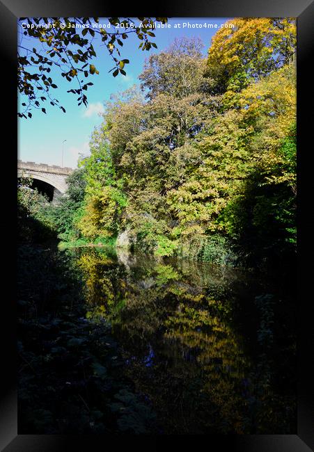 Water of Leith and Belford Rd. Bridge Framed Print by James Wood