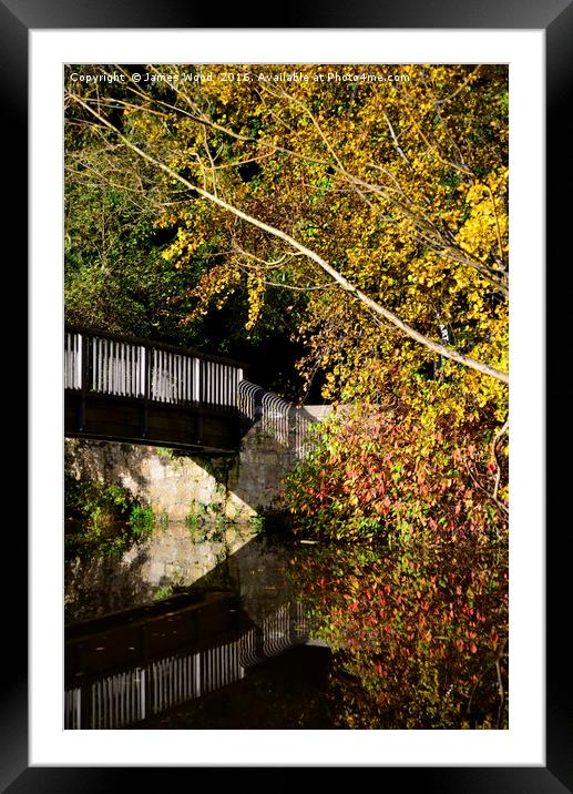 Water of Leith footbridge Framed Mounted Print by James Wood