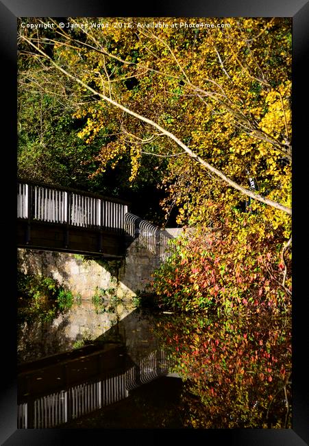 Water of Leith footbridge Framed Print by James Wood