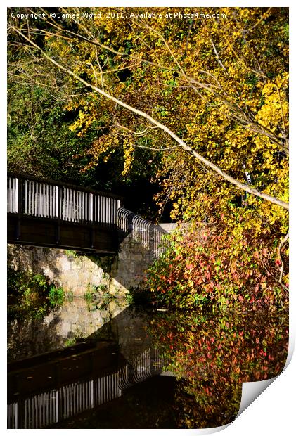 Water of Leith footbridge Print by James Wood