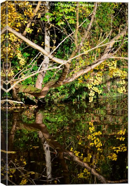 Inky reflections Canvas Print by James Wood