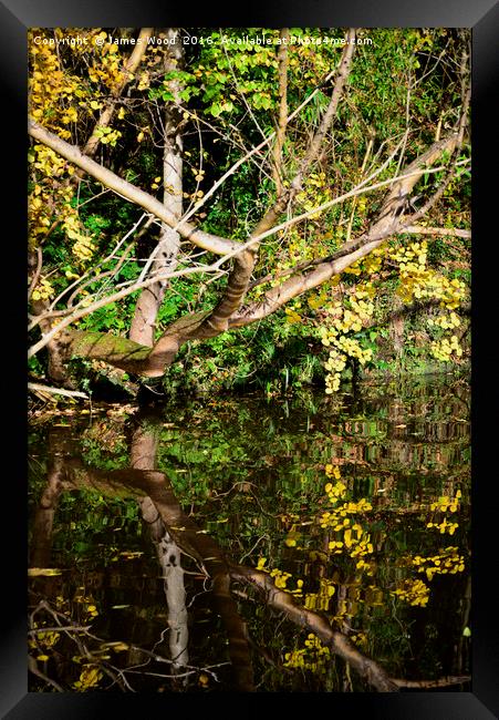 Inky reflections Framed Print by James Wood