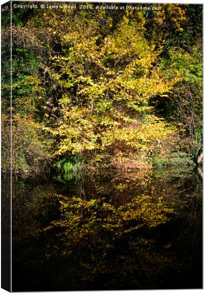Autumn Reflections Canvas Print by James Wood