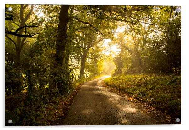 a quiet country lane Acrylic by Caroline Burton